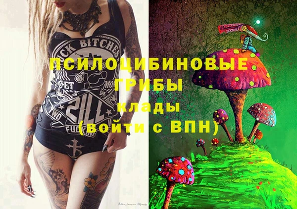 ПСИЛОЦИБИНОВЫЕ ГРИБЫ Алексеевка