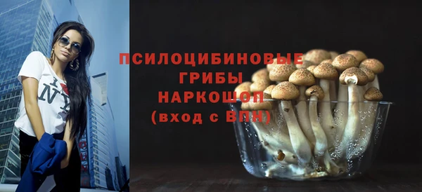 ПСИЛОЦИБИНОВЫЕ ГРИБЫ Алексеевка