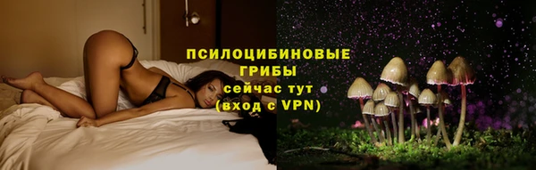 ПСИЛОЦИБИНОВЫЕ ГРИБЫ Алексеевка