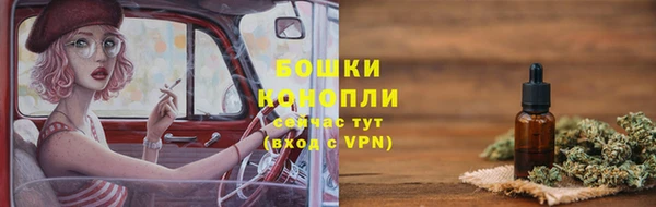 ПСИЛОЦИБИНОВЫЕ ГРИБЫ Алексеевка