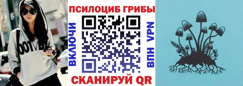 Псилоцибиновые грибы Psilocybine cubensis  закладки  Пущино 